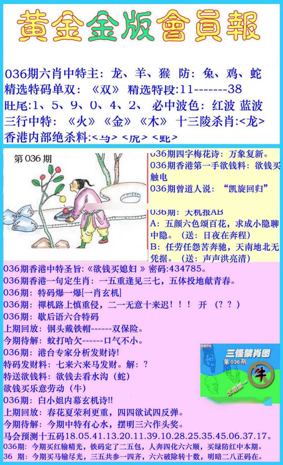 036期黄金金版会员报[图]